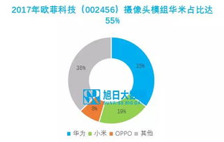国产品牌崛起与软件开发上市公司的客户结构机遇